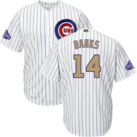Chicago Cubs #14 Ernie Banks White(Blue Strip) 2017 Gold Program Cool Base Stitched Youth MLB Jersey