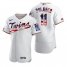 Minnesota Twins #11 Jorge Polanco Mens Nike White Fluttering USA Flag Limited Edition Authentic MLB Jersey