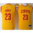 Youth Cavaliers #23 LeBron James Gold The Finals Patch Stitched NBA Jersey