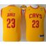 Youth Cavaliers #23 LeBron James Gold The Finals Patch Stitched NBA Jersey