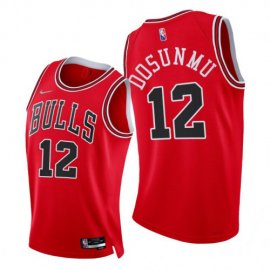 Nike Chicago Bulls #12 Ayo Dosunmu Mens 2021-22 75th Diamond Anniversary NBA Jersey Red Mens