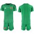 Colombia Blank Army Green Goalkeeper Soccer Country Jersey