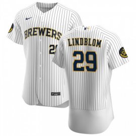 Milwaukee Brewers #29 Josh Lindblom Mens Nike White Home 2020 Authentic Player MLB Jersey