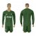 Juventus Blank Green Goalkeeper Long Sleeves Soccer Club Jersey