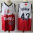 Raptors #43 Pascal Siakam White/Red Basketball Swingman City Edition Jersey