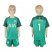 Tottenham Hotspur #1 LLORIS Green Goalkeeper Kid Soccer Club Jersey