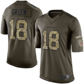 Nike Cincinnati Bengals #18 A.J. Green Green Youth Stitched NFL Limited 2015 Salute to Service Jersey