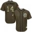 Detroit Tigers #14 Christin Stewart Green Salute to Service Stitched Youth MLB Jersey