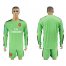 Arsenal Blank Green Goalkeeper Long Sleeves Soccer Club Jersey