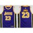 Los Angeles Lakers #23 LeBron James Purple NBA Swingman Statement New Jersey