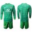 Lyon Blank Green Goalkeeper Long Sleeves Soccer Club Jersey