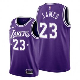 Los Angeles Los Angeles Lakers #23 Lebron James Mens 2021-22 City Edition Purple NBA Jersey Mens