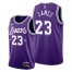 Los Angeles Los Angeles Lakers #23 Lebron James Mens 2021-22 City Edition Purple NBA Jersey Mens