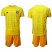 Germany Blank Yellow Goalkeeper Soccer Country Jersey