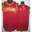 Cleveland Cavaliers Blank Red Revolution 30 NBA Jerseys
