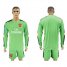 Arsenal Blank Green Goalkeeper Long Sleeves Soccer Club Jersey