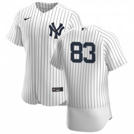 New York Yankees #83 Deivi Garcia Mens Nike White Navy Home 2020 Authentic Player MLB Jersey
