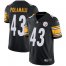 Nike Pittsburgh Steelers #43 Troy Polamalu Black Team Color Mens Stitched NFL Vapor Untouchable Limited Jersey