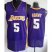 Los Angeles Lakers 5 Robert Horry Purple Revolution 30 NBA Jerseys