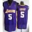 Los Angeles Lakers 5 Robert Horry Purple Revolution 30 NBA Jerseys