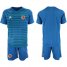 Colombia Blank Blue Goalkeeper Soccer Country Jersey