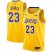Womens Nike Los Angeles Lakers #23 LeBron James Gold NBA Swingman Icon Edition Jersey