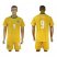 Cote dlvoire #9 Tiote Home Soccer Country Jersey