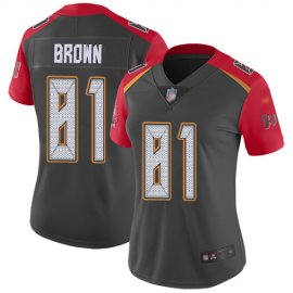 Nike Tampa Bay Buccaneers #81 Antonio Brown Gray Womens Stitched NFL Limited Inverted Legend Jersey