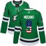 Adidas Dallas Stars #9 Mike Modano Green Home Authentic USA Flag Womens Stitched NHL Jersey
