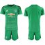 Manchester United Blank Green Goalkeeper Soccer Club Jersey