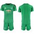 Manchester United Blank Green Goalkeeper Soccer Club Jersey