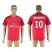 Paris Saint-Germain #10 Ibrahimovic Red Soccer Club Jersey