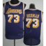 Los Angeles Lakers 73 Dennis Rodman Purple Hardwood Classics Revolution 30 NBA Jerseys Cheap