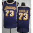 Los Angeles Lakers 73 Dennis Rodman Purple Hardwood Classics Revolution 30 NBA Jerseys Cheap