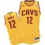 Cleveland Cavaliers 12 Anthony Bennett Yellow Revolution 30 NBA Jersey Cheap