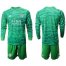 Leicester City Blank Green Goalkeeper Long Sleeves Soccer Club Jersey