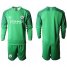 Manchester City Blank Green Goalkeeper Long Sleeves Soccer Club Jersey