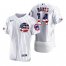 Chicago Cubs #14 Ernie Banks Mens Nike White Fluttering USA Flag Limited Edition Authentic MLB Jersey