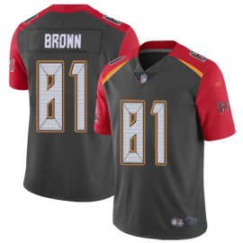 Nike Tampa Bay Buccaneers #81 Antonio Brown Gray Mens Stitched NFL Limited Inverted Legend Jersey