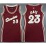 Women Cleveland Cavaliers #23 LeBron James Red 2015-2016 Christmas Day Dress Stitched NBA Jersey