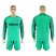 Inter Milan Blank Green Goalkeeper Long Sleeves Soccer Club Jersey