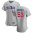 Chicago Cubs #53 Jose Martinez Mens Nike Gray Road 2020 Authentic Team Jersey